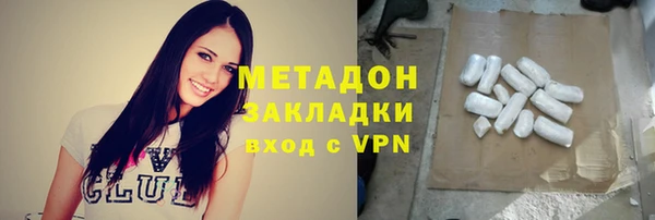 прущие грибы Алзамай