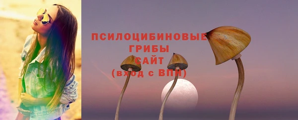 прущие грибы Алзамай