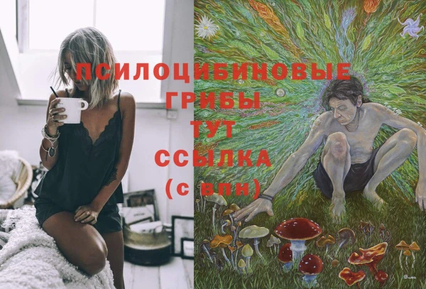 spice Алексеевка