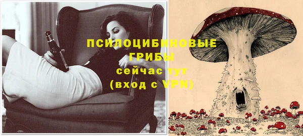 Альфа ПВП Алексин