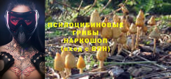 spice Алексеевка