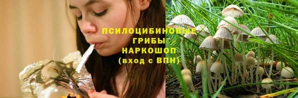 прущие грибы Алзамай