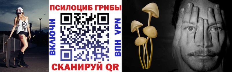 хочу   Грязи  Галлюциногенные грибы Magic Shrooms 